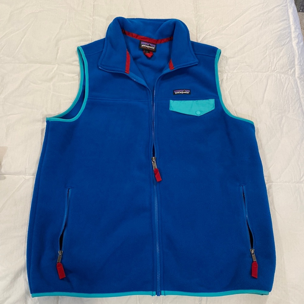Mens patagonia vest